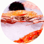 Seafood Market Brand Identity Shellfish/Mollusks Image